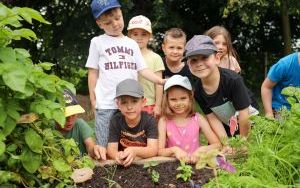 Dzieci z Przedszkola nr 9 uwielbiają zajmować się swoim warzywnikiem (5)