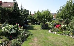 Zielono mi najpiękniejszy ogród przydomowy (3)