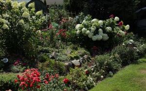 Zielono mi najpiękniejszy ogród przydomowy (4)