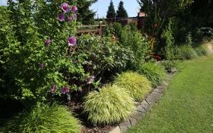Zielono mi najpiękniejszy ogród przydomowy (2)