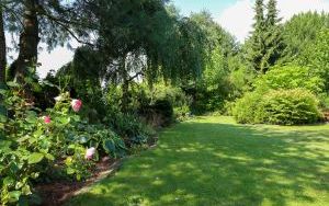 Zielono mi najpiękniejszy ogród przydomowy (5)