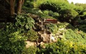 Najpiękniejszy ogród przy miejscu pracy. (3)