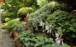 Najpiękniejszy ogród przy miejscu pracy. (6)