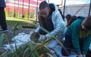 Uczniowie z SP13 sadzą rośliny w ogrodzie deszczowym (3)