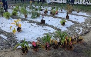 Uczniowie z SP13 sadzą rośliny w ogrodzie deszczowym (8)