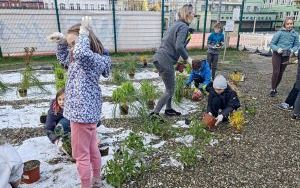 Uczniowie z SP13 sadzą rośliny w ogrodzie deszczowym (14)