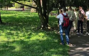 Co w miejskiej zieleni piszczy - spacer przyrodniczy z Tomaszem Szczasnym (1)