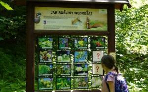 Dzieci ze Szkolnego Zespołu Antysmogowego z wizytą w Arboretum Bramy Morawskiej w Raciborzu (7)
