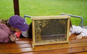 Eko-rajd rowerowy i Światowy Dzień Pszczoły na Kempingu Obora (5)