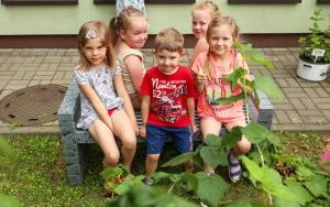 Raciborskie przedszkolaki spróbowały samodzielnie wyhodowanych owoców i warzyw (10)