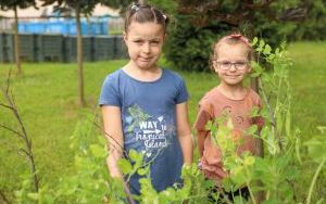 Raciborskie przedszkolaki spróbowały samodzielnie wyhodowanych owoców i warzyw (3)