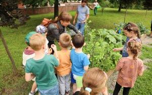 Raciborskie przedszkolaki spróbowały samodzielnie wyhodowanych owoców i warzyw (5)