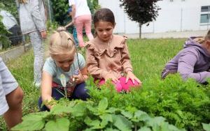 Raciborskie przedszkolaki spróbowały samodzielnie wyhodowanych owoców i warzyw (4)