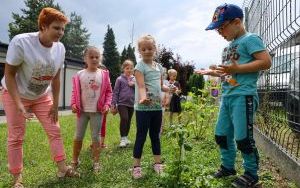 Raciborskie przedszkolaki spróbowały samodzielnie wyhodowanych owoców i warzyw (5)