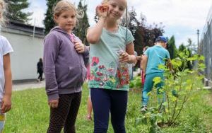 Raciborskie przedszkolaki spróbowały samodzielnie wyhodowanych owoców i warzyw (6)