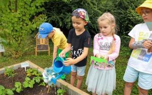 Przedszkolaki delektują się smakiem owoców ze swoich ogródków (6)