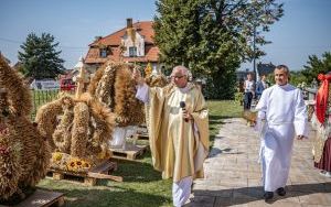 Raciborzanie podziękowali za plony na dożynkach powiatowo-gminnych w Brzeziu (7)