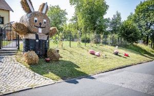 Raciborzanie podziękowali za plony na dożynkach powiatowo-gminnych w Brzeziu (13)