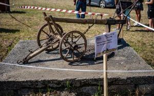 Raciborzanie podziękowali za plony na dożynkach powiatowo-gminnych w Brzeziu (11)