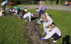 Tulipany upiększą teren przy Matce Polce. Dzieci z Zespołu Antysmogowego zachęcają do dbania o czyste powietrze (16)