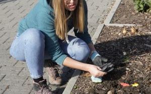 W Raciborzu przybywa terenów z roślinnością wieloletnią