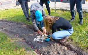 W Raciborzu przybywa terenów z roślinnością wieloletnią