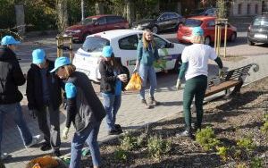 W Raciborzu przybywa terenów z roślinnością wieloletnią