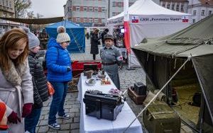 Miejskie Obchody Dnia Niepodległości (5)