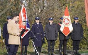 Miejskie Obchody Dnia Niepodległości (8)