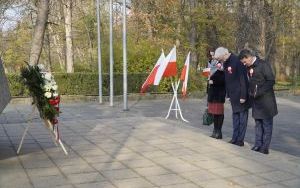 Miejskie Obchody Dnia Niepodległości (7)