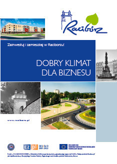 Polska okładka Dobry klimat dla biznesu
